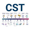 CST PROFILE